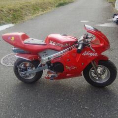 最終格下げします！ポケバイ