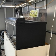 値下げしました！1200 450 600 水槽