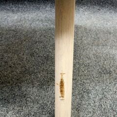 ニトリ/NITORI ダイニングテーブルセット LDテーブル リラックスワイド160 ホワイトウォッシュ/グレー   中古家具 店頭引取歓迎 R6237)