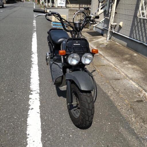 値下げ ホンダ ズーマー キャブ車 原付き バイク | pcmlawoffices.com