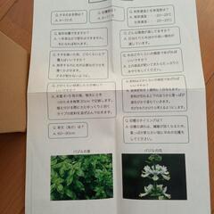 【未開封】植物栽培キット - 茨木市