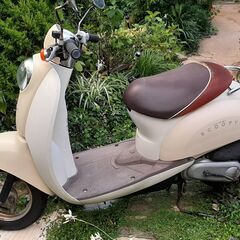 可愛い50cc 　クレアスクーピー