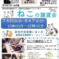 猫の譲渡会