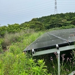 太陽光草刈りは長崎〜熊本　便利屋タスケットにお任せ！ - 剪定/造園