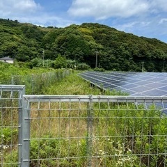 太陽光草刈りは長崎〜熊本　便利屋タスケットにお任せ！ - 佐世保市