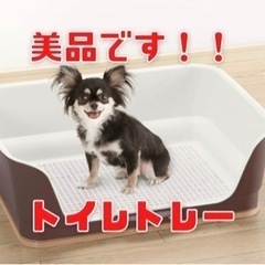  【ほぼ未使用！！！】犬　トイレトレーレギュラーサイズ　ダークブラウン