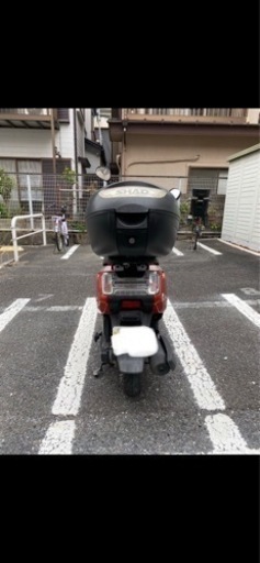 ホンダ Honda  Dunk  50cc