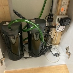 60センチ水槽 ハイタイプ 引退品