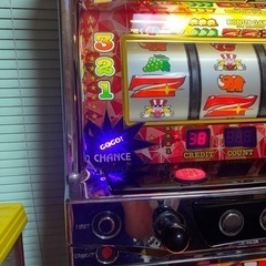 シルバーアロワナ2匹とロイヤルトーマンのセット 引き取り限定