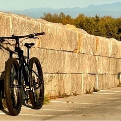 ROCKY MOUNTAIN   GROWLER50   S size