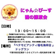 ８月７日(日)🌸にゃん☆ぴーす猫の譲渡会🌸「ペテモピアシティ稲毛...