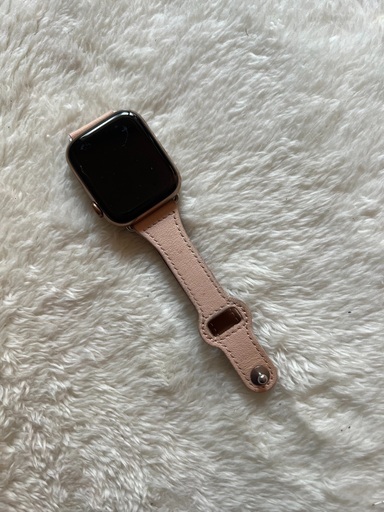 Apple Watch 5 （本日限り）