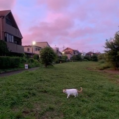 ☀️一緒にバドミントンやりませんか🎵😀