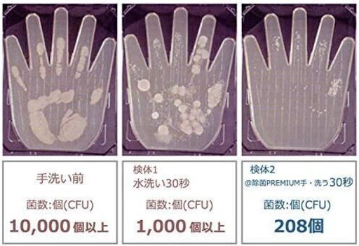 除菌電解水給水器　SHW-100W