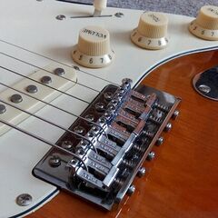 激レア】SELVA SST-200 3TS☆グロスネック、ヒールカット、プレス 