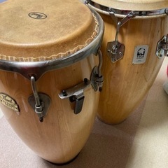 Pearlウッドコンガ Amazon.co.jp: Pearl パール ホワイトウッドコンガ CG-210WSN : 楽器