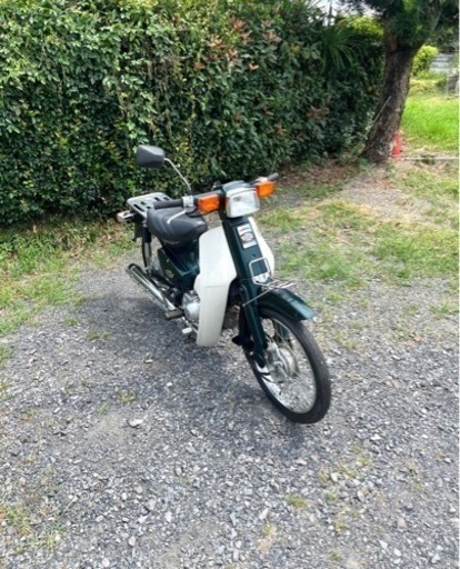 バックテリア　スポア株 383. 動画あり ホンダ スーパーカブ 低走行 原付 バイク 50cc 車体