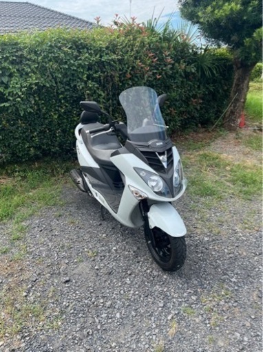 384. 動画あり SYM RV125i 小型 バイク 125cc 車体 【公式通販】