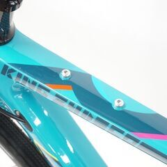 CINELLI 「チネリ」 KING ZYDECO 2022年モデル グラベルロードバイク