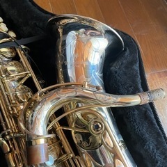 ヤナギサワ A9937