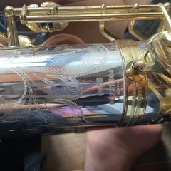 ヤナギサワ A9937