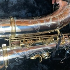 ヤナギサワ A9937