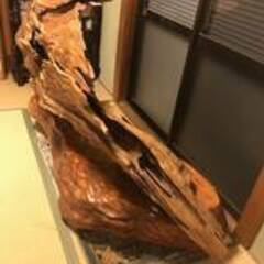 屋久杉 衝立　オブジェ　世界遺産