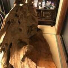 屋久杉 衝立　オブジェ　世界遺産