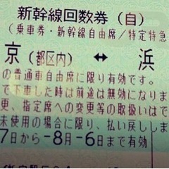 【8/3本日まで】東海道新幹線(浜松-東京 間)回数券1枚　使用...