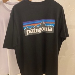 パタゴニア　Tシャツ