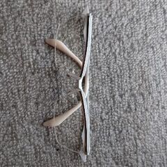 翔サムライ2021年白リミテッド全国200本限定格安！