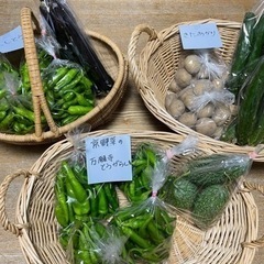 新鮮野菜　直売