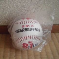 甲子園 記念ボール（第81回夏の選手権）