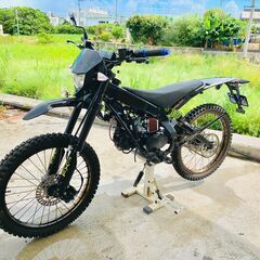 ☆値下げ！クリーブランド・FX110☆低走行・美車☆