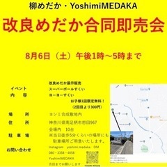 改良メダカ販売　　　　　　　　　　　南足柄市　8/6（土）13時〜