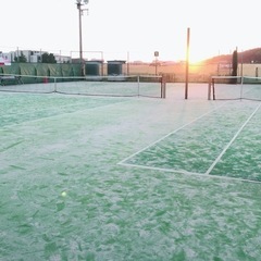 鎌倉でいっしょに硬式テニスをする仲間を募集します。