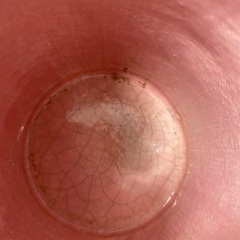 希少 エコパークポッテリー largemug 