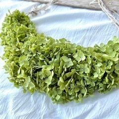 アナベル紫陽花 三日月リース