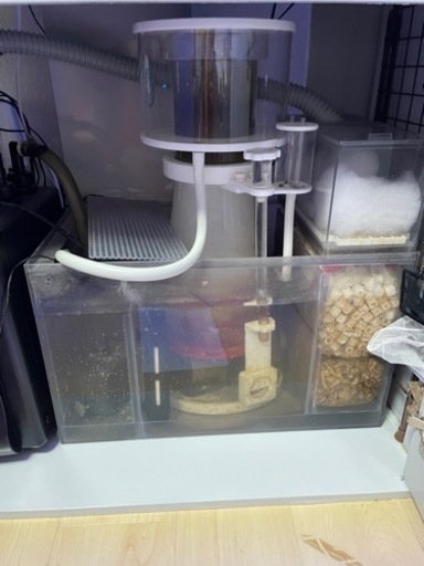 【ジャンク品】オーバーフロー水槽セット　水槽　オルカ　90 海水　サンゴ