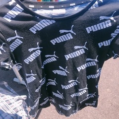 レディース   PUMA Tシャツ Mサイズ