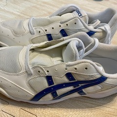 新品　asics 室内シューズ　運動靴　28cm