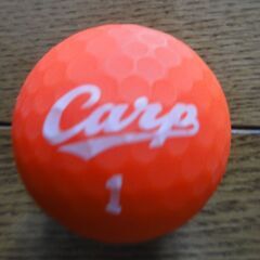 カープボールと通常のゴルフボール５０球