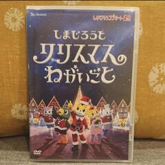 しまじろうコンサートDVD　美品