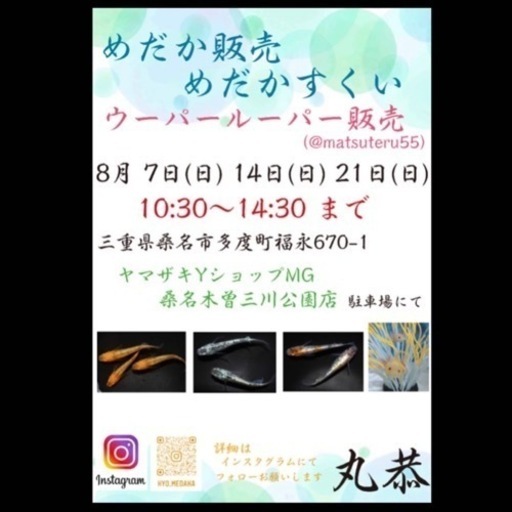 鯉メダカウーパールーパー Marukyo 多度のその他の中古あげます 譲ります ジモティーで不用品の処分