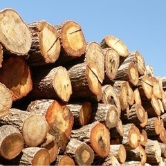 薪、原木、伐採した木譲ってください
