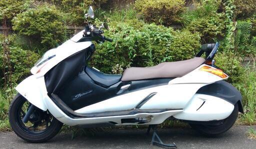 ジェンマ250 (1702) ジェンマ250 (1702) スズキ ジェンマ250 gemma AKIRA