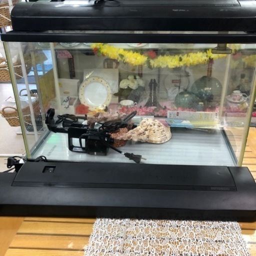 コトブキ工芸　水槽　60㎝