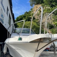 YAMAHA SRV 船外機