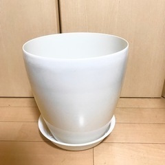 【取引中】大型植木鉢　9.5号　受皿付き