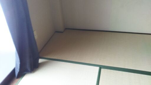 畳6枚（縁、表替え済み） 【公式通販】